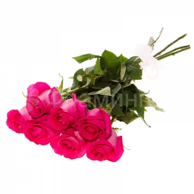 Розы код 664 Букет из семи роз - традиционный букет в розовых тонах, который будет уместен по любому поводу. Другие букеты из роз Вы можете найти <a href=