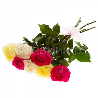 Розы код 677  7 разноцветных роз