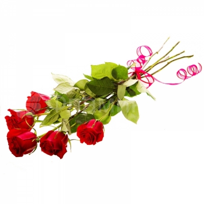 Розы код 583 Непревзойденное великолепие королевы цветов в букете из пяти красных роз! Прекрасные розы – символы любви и страсти – традиционный подарок, который окажется уместным по любому поводу и станет украшением любого события. Расскажите любимой о Ваших чувствах с помощью классической <a href=