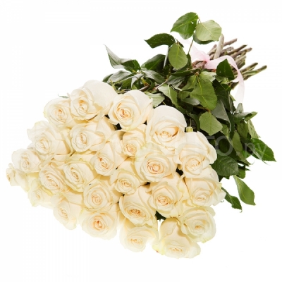 Розы код 661 Двадцать пять белых роз - нежный подарок к любому празднику. 25 белых роз