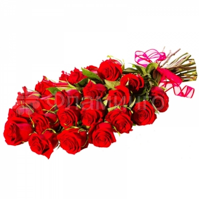 Розы код 591 Красные розы – отличный подарок к любому случаю! Традиционная красота роз не оставит равнодушным ни одного получателя. Королева цветов в подарок – лучший способ рассказать о самых искренних чувствах возлюбленной! Классический букет из красных роз окажется эффектным, запоминающимся подарком и непременно порадует получателя. Двадцать пять роз 